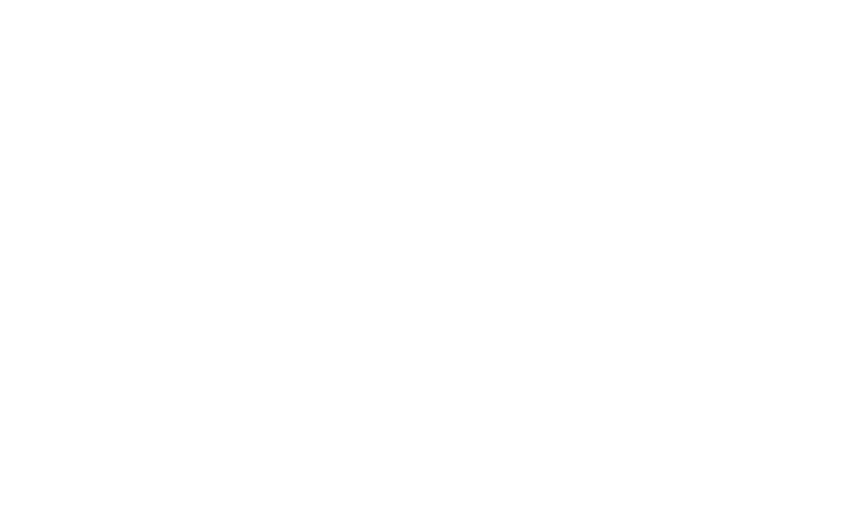 CCV from Fiserv logo